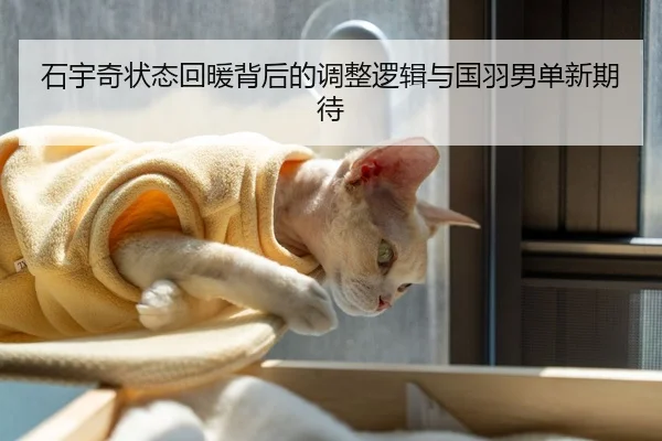 石宇奇状态回暖背后的调整逻辑与国羽男单新期待