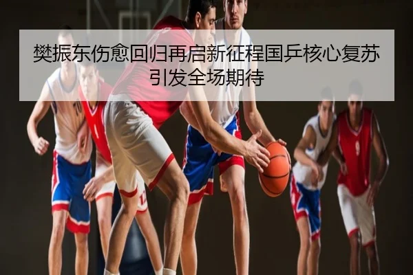 樊振东伤愈回归再启新征程国乒核心复苏引发全场期待
