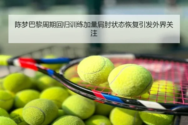 陈梦巴黎周期回归训练加量肩肘状态恢复引发外界关注