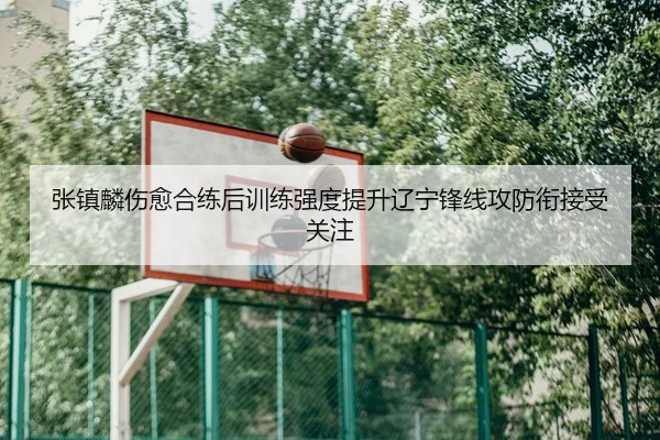 张镇麟伤愈合练后训练强度提升辽宁锋线攻防衔接受关注